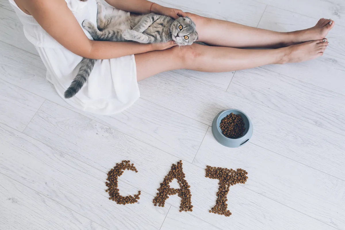 Jak wybrać dobrą karmę dla kota? Praktyczny poradnik żywienia kotów