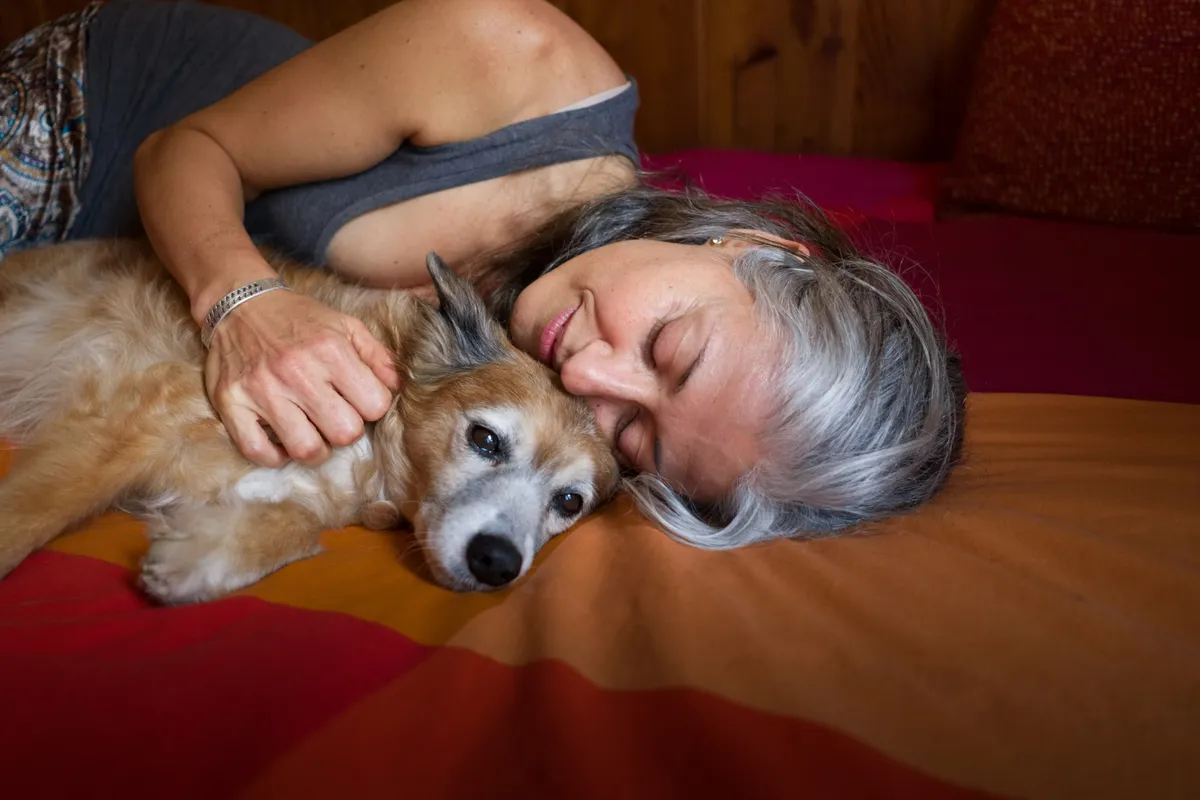 Najlepsza dieta dla psa seniora – jak karmić starszego psa krok po kroku